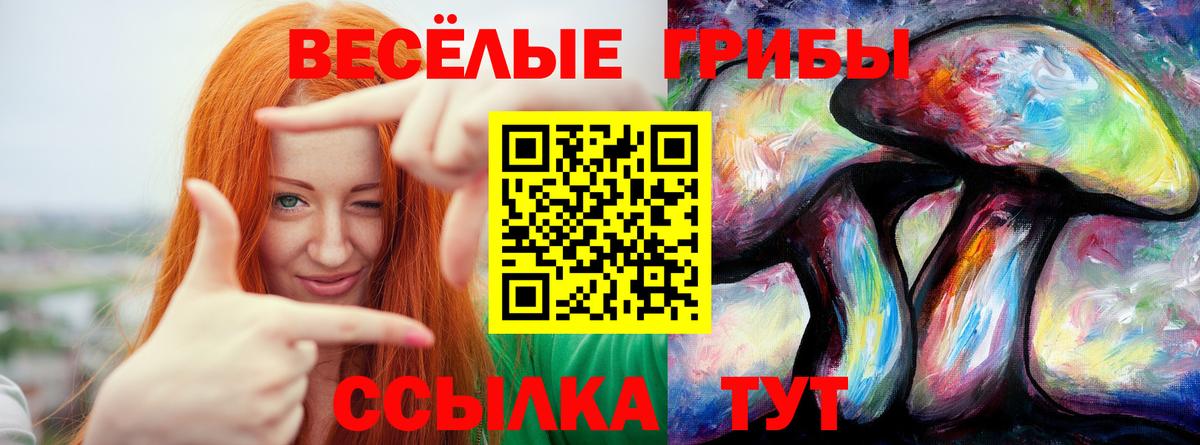Галлюциногенные грибы ЛСД  Галлюциногенные грибы мицелий  Вход с VPN  Новосибирск 